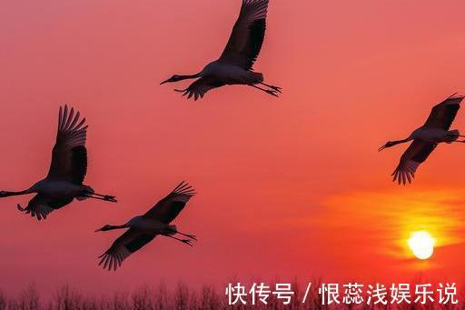 子女|过了60,自私的父母最伟大!此文很有意义,希望中老年人认真读读