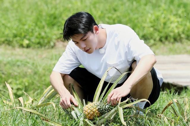 去马尔代夫也挽不回《向往》的颓势？或许这档综艺是时候该结束了