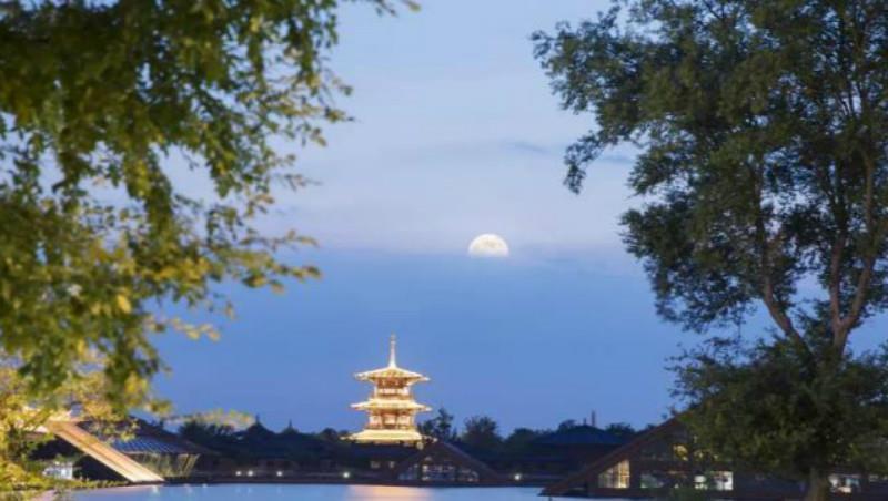 这首诗#小和尚平生仅一首诗存世,却让苏轼败下阵来,无一静字却句句写静