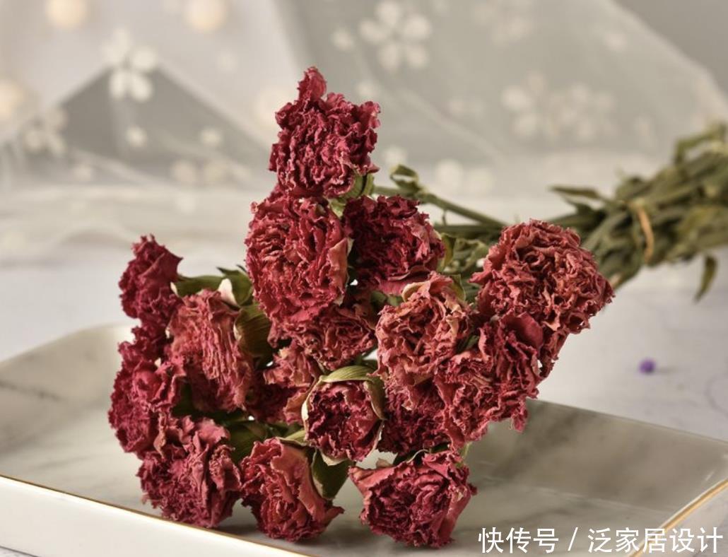做成|这4种花做成干花更漂亮,瞬间将美定格了