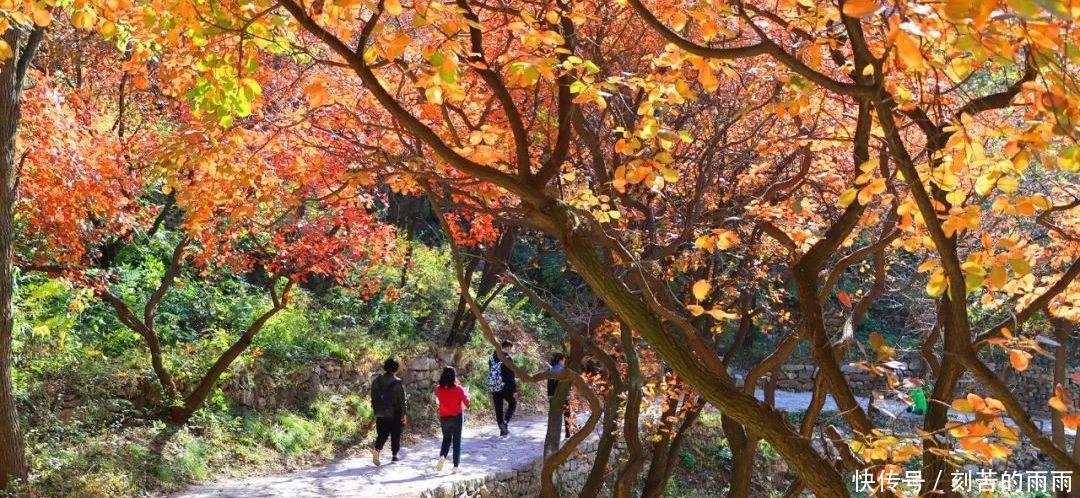 这是不是神仙居住的地方实在是太美了！