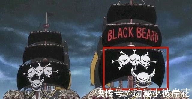 白胡子|黑胡子是章鱼果实能力者,拥有三颗心脏,证据就在他的海贼旗当中