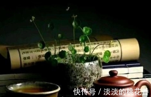 春风秋月#原创七言绝句《诗酒醉流年》,写的是一种淡泊、恬静的心境