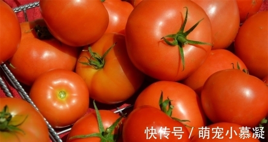 催熟|卖了20年菜的三婶透露:这4种常见的激素蔬菜要牢记,别买错了