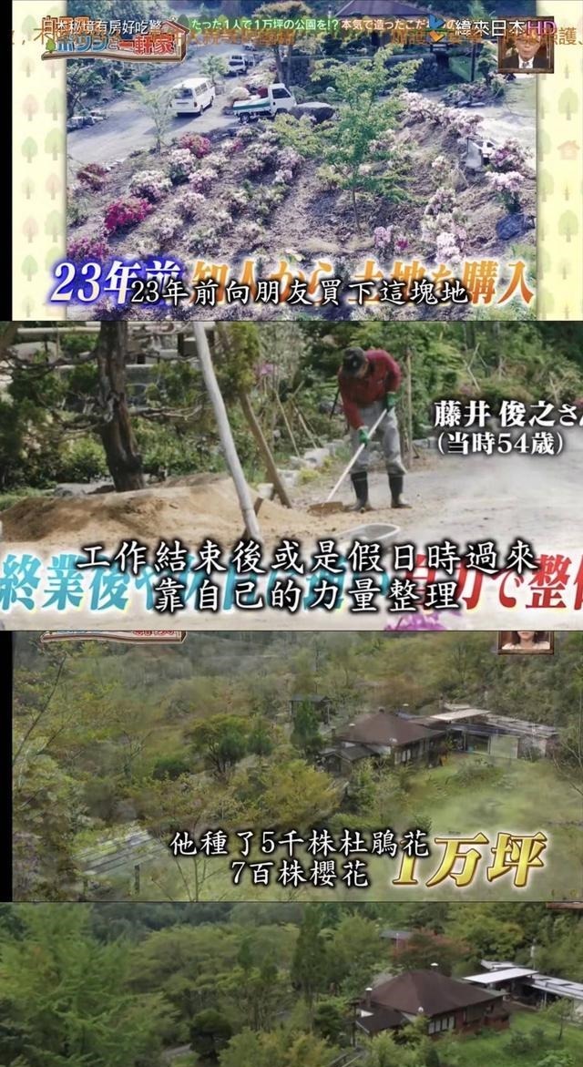 房好吃惊|23年种5700棵树 这个老人把荒山建成了森林公园