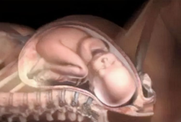 宝妈|为什么顺产那么疼?3张图带你了解分娩全过程,网友:为母不易