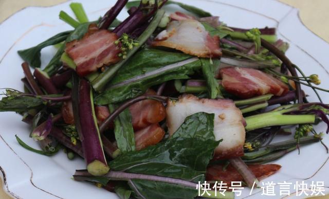 紫菜苔5种最好吃的做法，每种都简单美味，看看你喜欢吃哪种