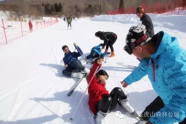 雪村|威虎山雪村12月12日正式开园啦！