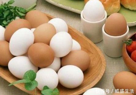 鸡蛋|鹌鹑蛋跟鸡蛋哪个营养价值更高？专家终于说出了事实的“真相”