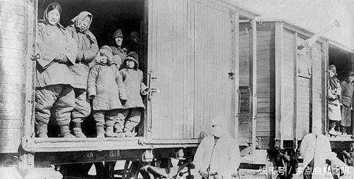 鼠疫|110年前肆虐东北的鼠疫,是如何被消灭的