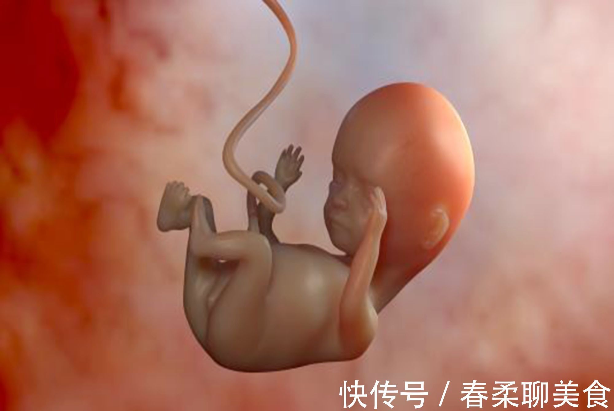 补充营养|宝妈要了解胎儿的“猛涨期”,如果补得早,肉可能会长在自己身上