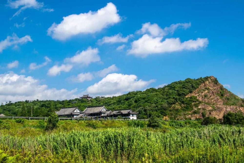 半山|半山半树，美哉顾山