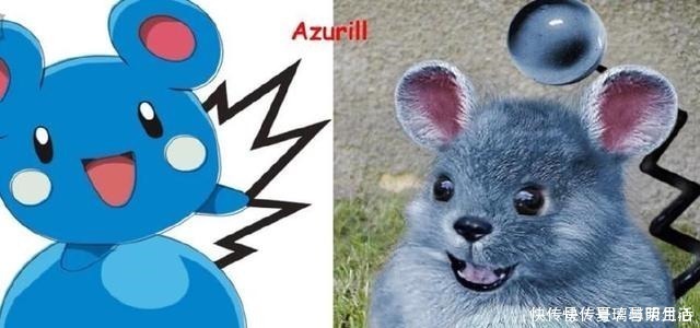 火系|“真实版”的神奇宝贝,看到裂空座,我发出了杀猪般的笑声