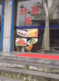 |搞笑GIF趣图:美女不要激动,我只是想摸一下你脸上的粉有多厚