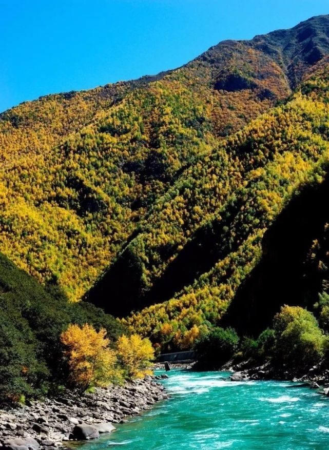 尼洋河|错高峰看层林尽染的五彩山河，享稍纵即逝的秋季美景！