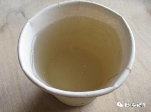 盆里加点它，韭菜1茬接1茬，再也不长虫！