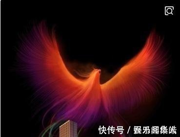 鸾鸟&山海经中发现有关上古凤凰神山的离奇记载,那里到底隐藏什么秘密!