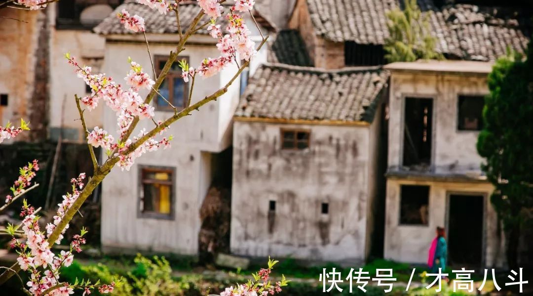 淮中晚泊犊头@20首春雨诗词,一朝春雨过,万物皆清明