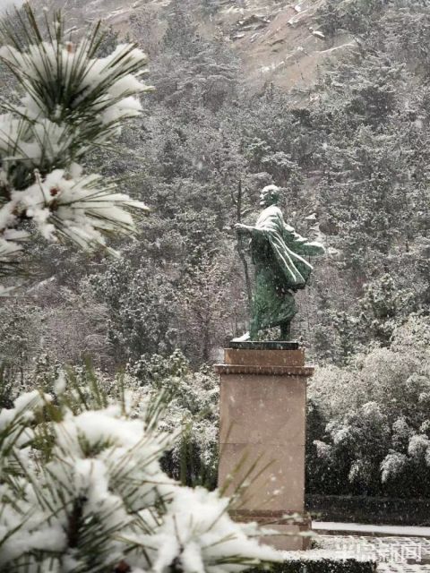 一场春雪飘洒而下 崂山美了美了