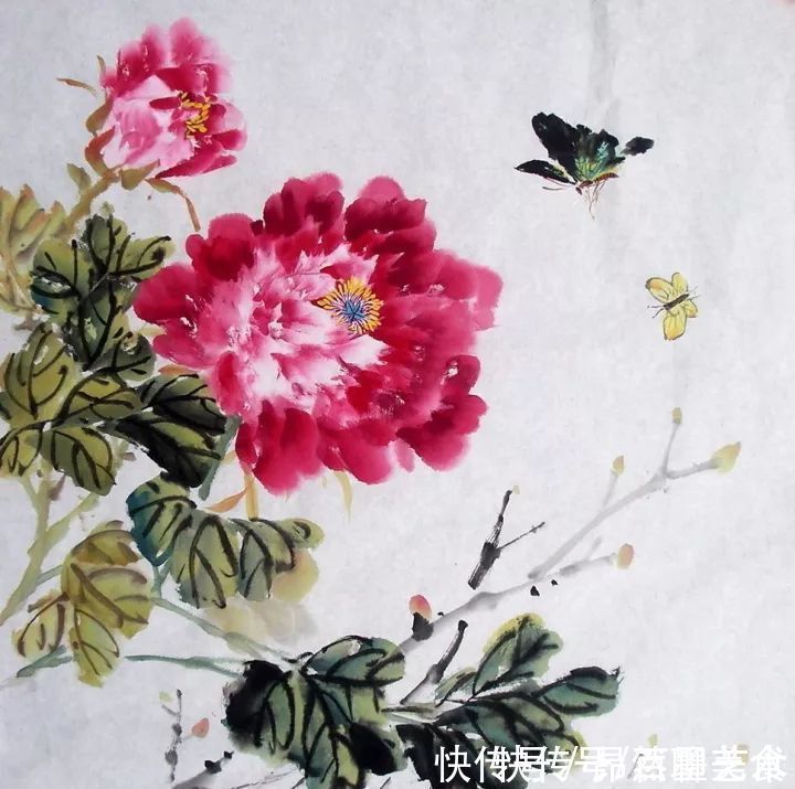 小写意@唯有牡丹真国色!小写意牡丹画150幅,美醉了