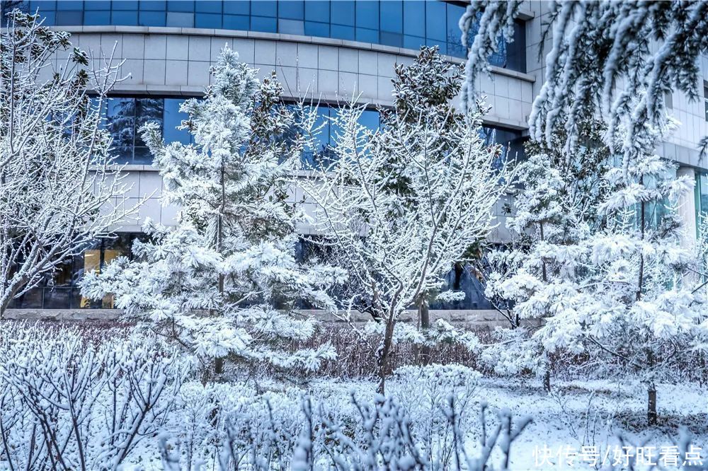 西安翻译学院：银装素裹雪景美如画