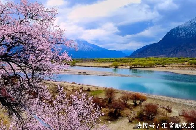 淋一场烟雨，遇一场花事，9个三月花海刷屏的地方