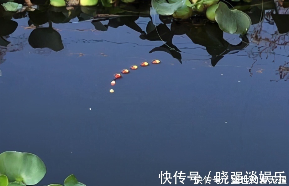 盛世三渔|七星漂的两种调漂方法,明白了原理其实并不难——盛世三渔