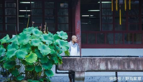 中国最良心5A景区，门票免费斋饭2元随便吃，日本高僧尊称为祖庭