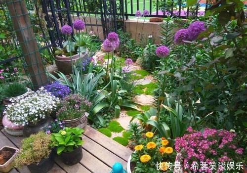 她家院子里开满了花,像一个小花园,好想去赏花,真美!