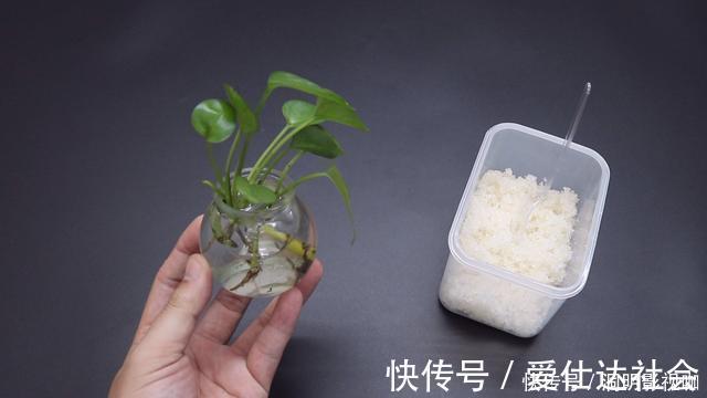 回家|白糖和洗衣粉放一起，作用花钱难买，可惜今天才学到，回家试一试
