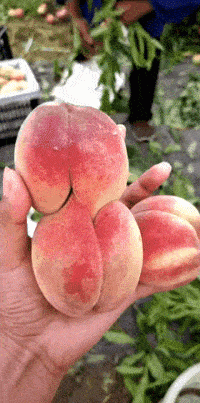 |搞笑GIF:对不起了兄弟,我不是故意的