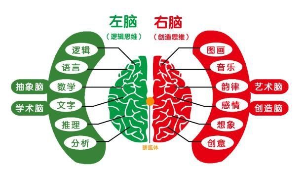 比其他血型|斯坦福大学发现：这个血型的妈妈，生出的娃智商更胜一筹