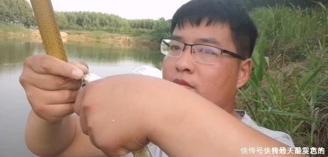 饵料|米饭粒这样用,这个夏季钓鲫鱼再也不怕小鱼闹,不信你就试试看