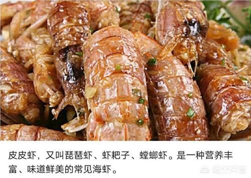 孕妇|孕妇能不能吃海鲜食品？有些人说不能吃，这是为什么？