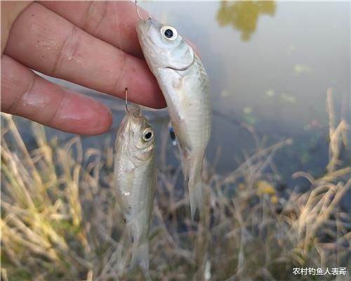 冬季野钓找好钓位看水温,摸清影响水温的三要素,才能找到好钓位
