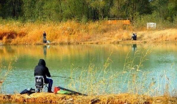 鱼儿就会|春钓时,每天这两个时间段钓鱼都是连竿,许多钓友竟然还在睡觉