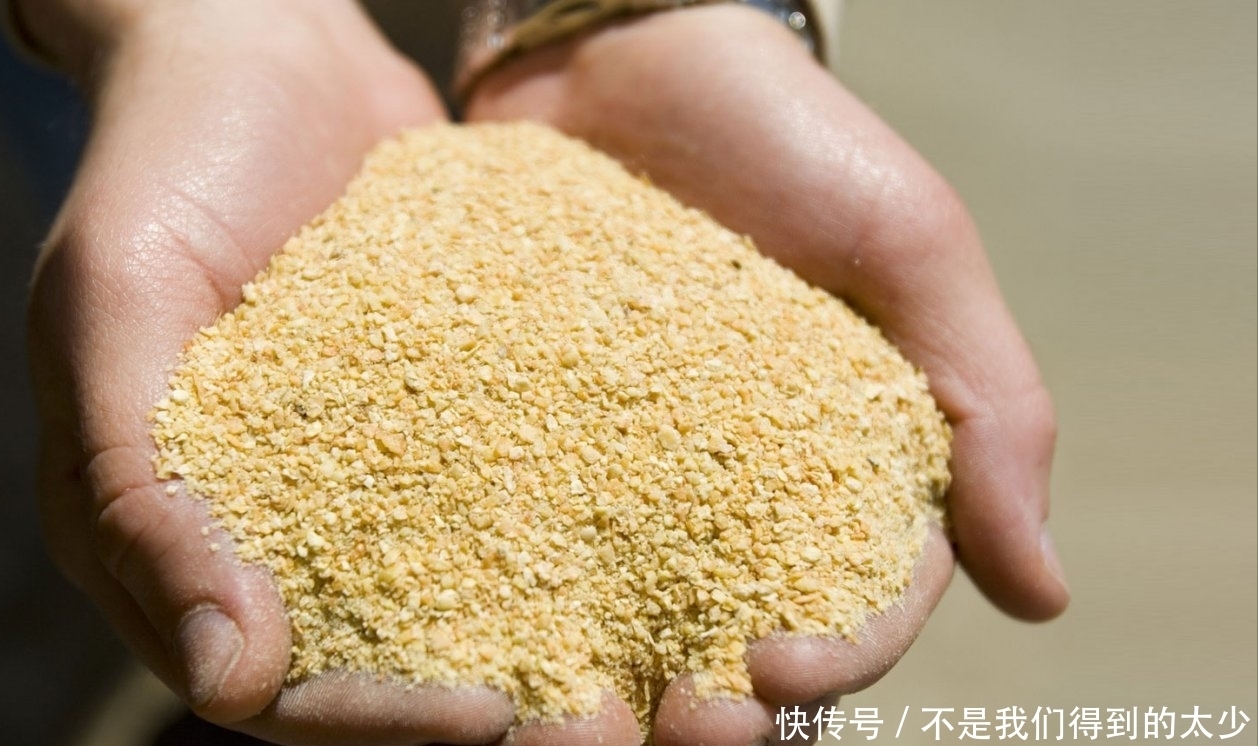 鸡饲料这样用,小鱼不闹,发窝更快