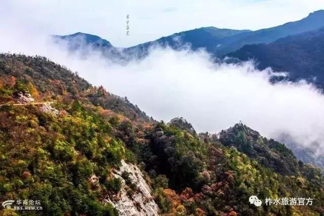 低薪|春花秋月、夏蝉冬雪，与你一起看遍柞水的春夏秋冬