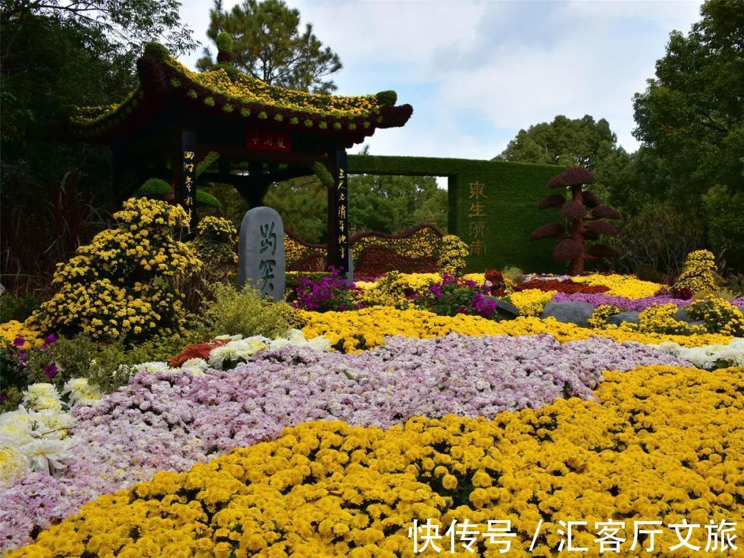 济南|比北京安逸，比青岛优雅，这个被老舍“表白”的城市，你去过吗？