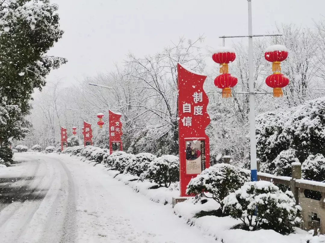 积雪|上班第一天，余杭多地银装素裹