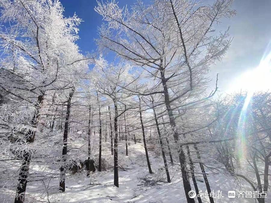 岱顶|壹图集丨腊八泰山迎瑞雪，岱顶秒变“琼楼玉宇”