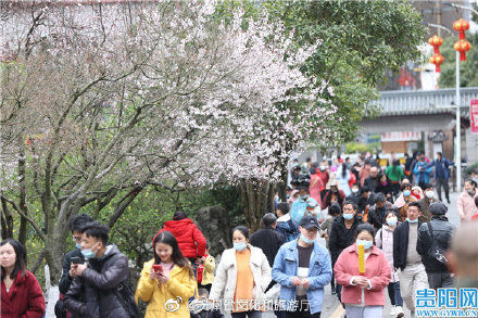 中年|花团锦簇 贵阳黔灵山公园踏青赏花正当时