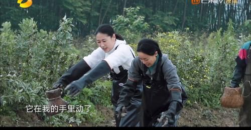 氛围|向往5:让人向往的不是农村生活,而是一种高于娱乐的生活氛围