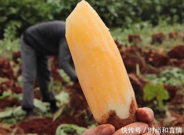 这4种水果,自从换了“洋名字”,吃货们纷纷购买!