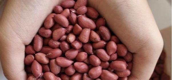 花生虽好,却要警惕一个部位,吃多了可能会血液黏稠、得脑血栓