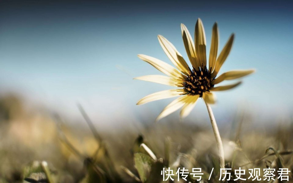 人情&俗话“有茶有酒多兄弟”,下半句道尽世间人情冷暖,古人智慧总结