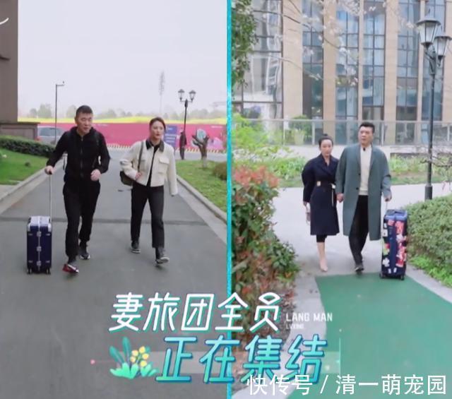 霸道總裁|蔣勤勤家小地板還臟亂,秦海璐家大又干凈,幸福背后是老公的差距