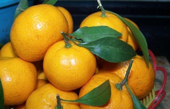 宝妈|有4种水果家长可以多买给孩子吃,能提高消化能力,促进智力发育