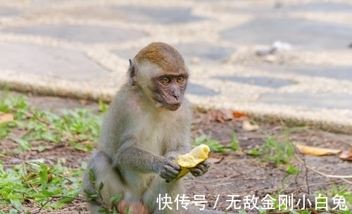 好机会|事业扬帆起航，4生肖6月底有贵人相助，得到升职加薪好机会