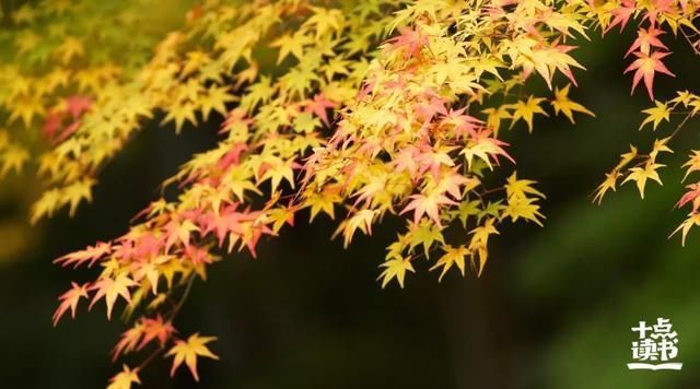 地道|天道酬勤,地道酬什么人道酬什么
